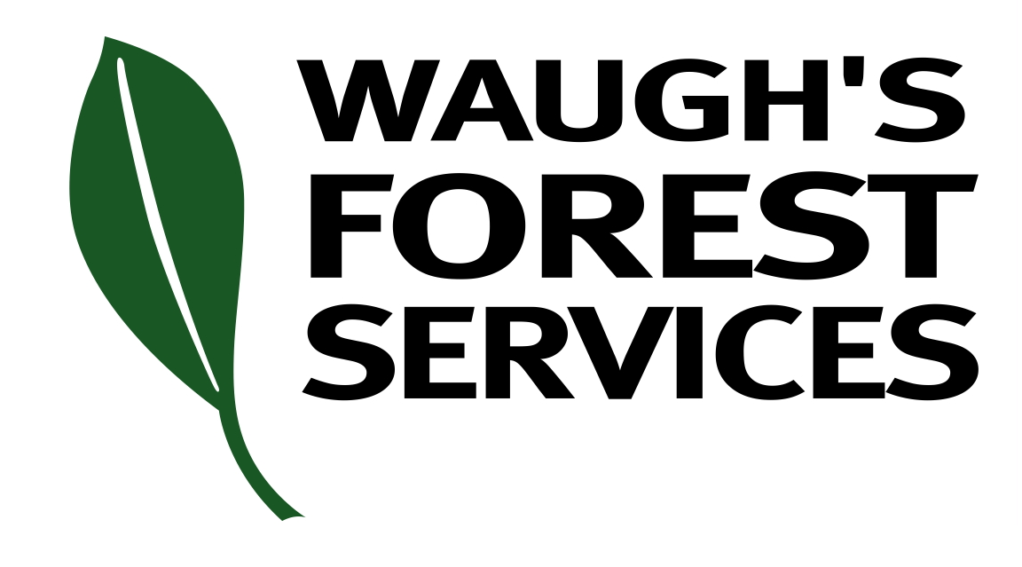 Waugh's Forest Services